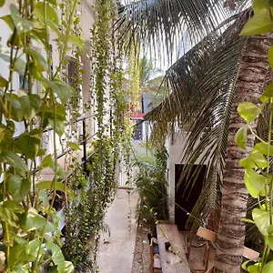 anana-coliving.quintano-roohotels.com/